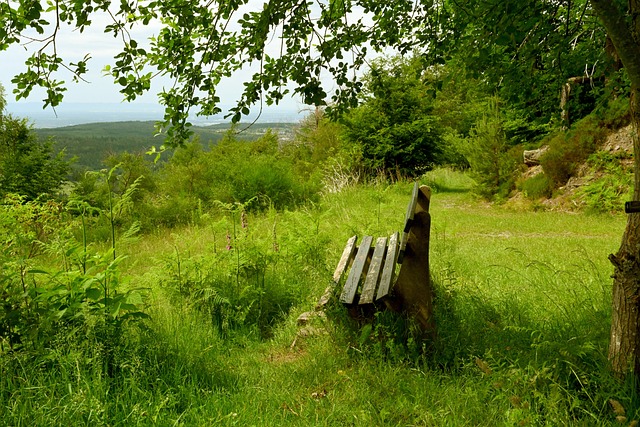 臂展较短等 臂展较短等