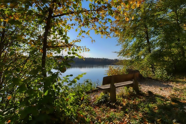 他深谙如何 他深谙如何