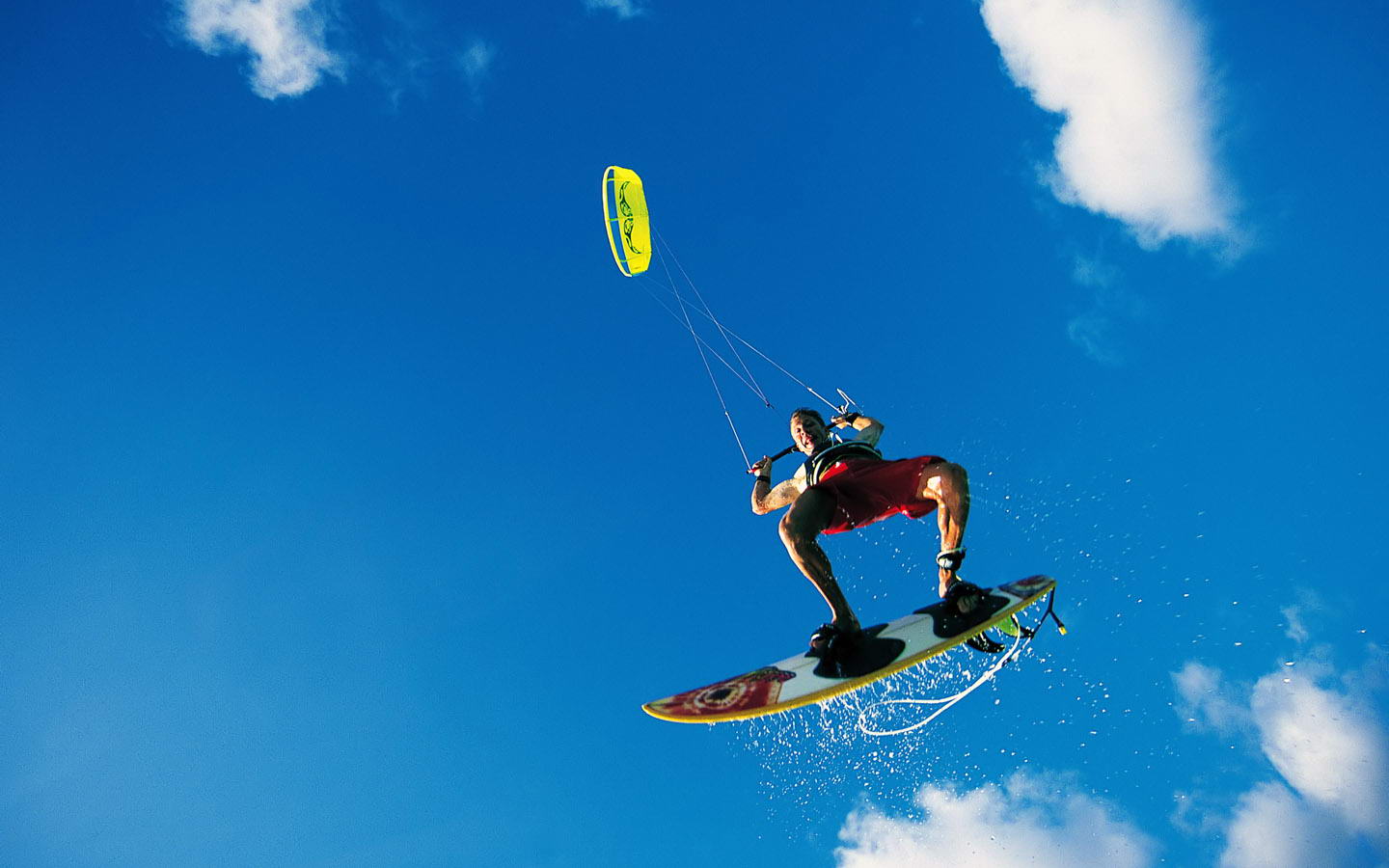 青训体系的 青训体系的